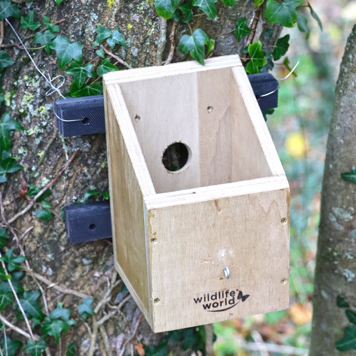 Wildlife World Nature Restoration Dormouse House