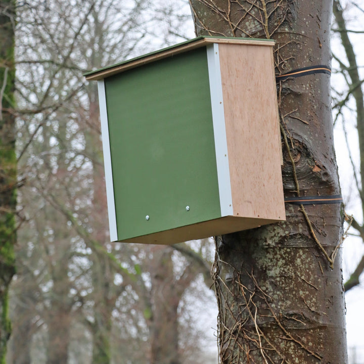 Wildlife World Nature Restoration Pine Marten Box