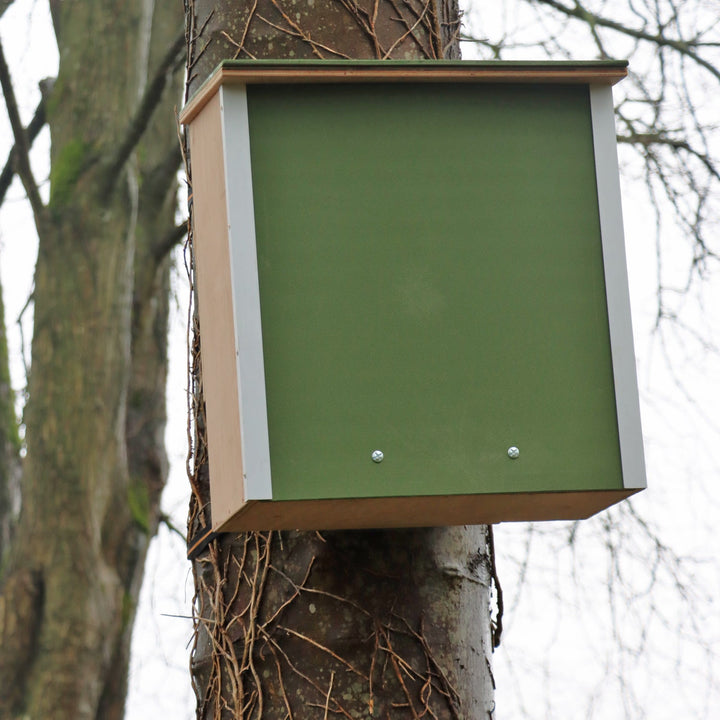 Wildlife World Nature Restoration Pine Marten Box