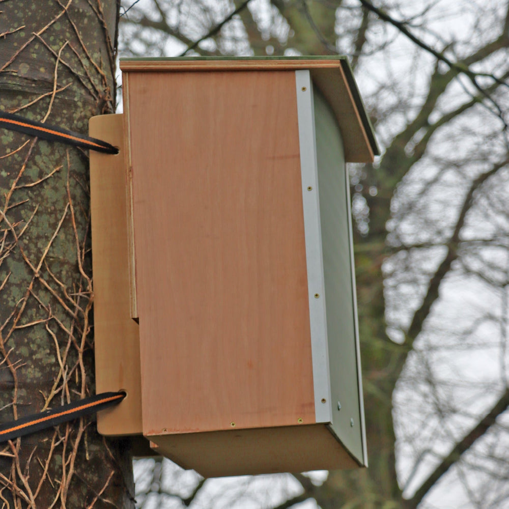 Wildlife World Nature Restoration Pine Marten Box