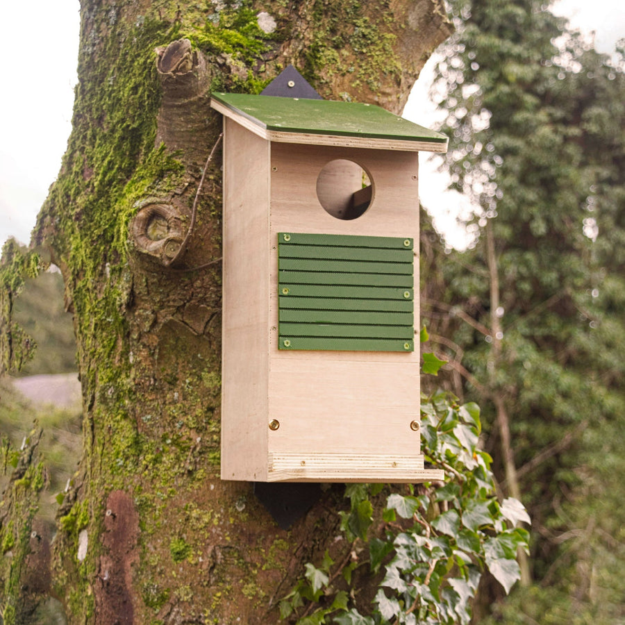 Wildlife World Nature Restoration Red Squirrel Box