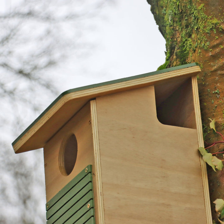 Wildlife World Nature Restoration Red Squirrel Box