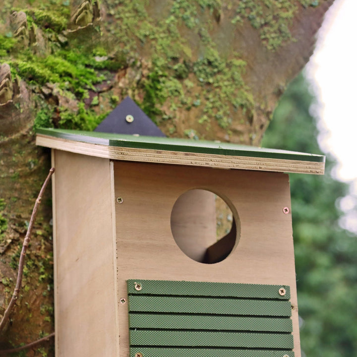 Wildlife World Nature Restoration Red Squirrel Box