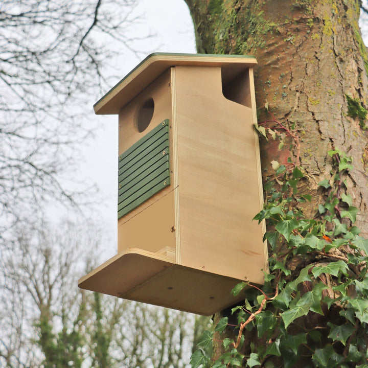 Wildlife World Nature Restoration Red Squirrel Box