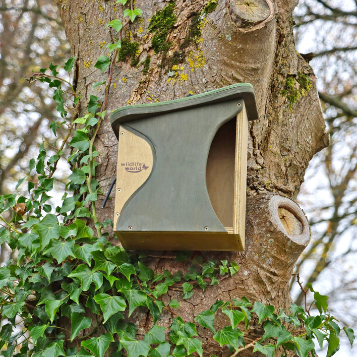 Wildlife World Nature Restoration Simon King Baffle Bird Nester