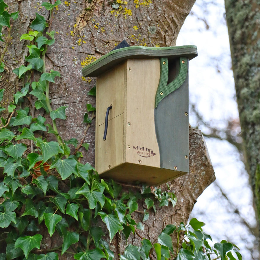 Wildlife World Simon King Curve Cavity Long-life Natural Bird Nester