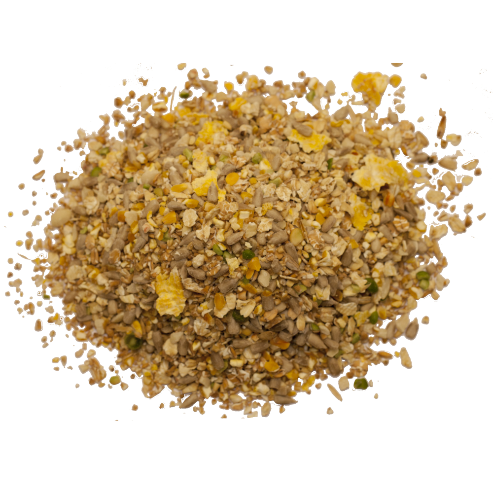 Red Bard No-Grow NoGrow No Grow Seeds Wild Bird Feed 1kg 2kg 5kg
