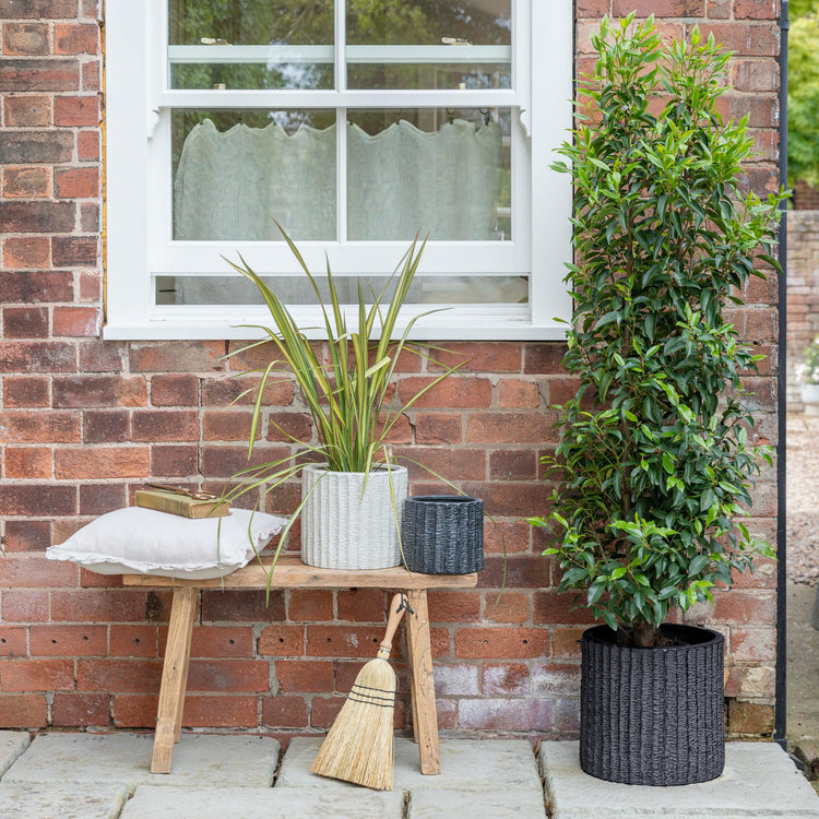 Ivyline Outdoor Charleston Textured White Planter 3 Set