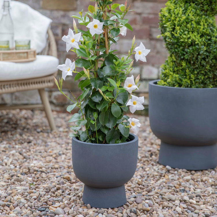 Ivyline Outdoor Dallas Footed Planter 3 Set