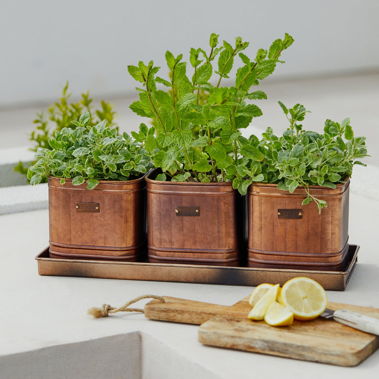 Ivyline Outdoor Hampton Copper Herb Planters 3 Set