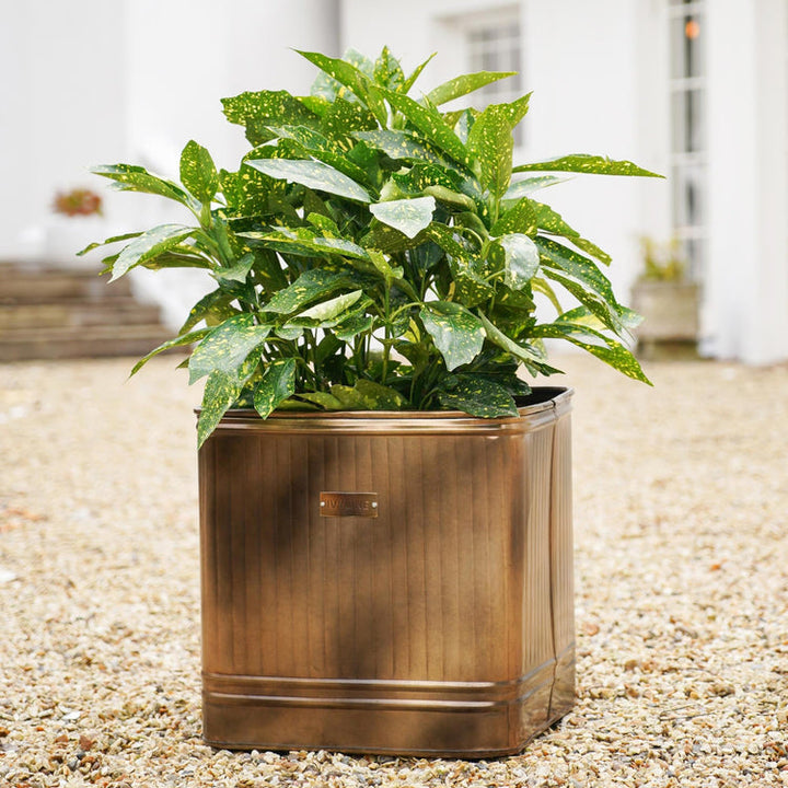 Ivyline Outdoor Hampton Square Metal Planter