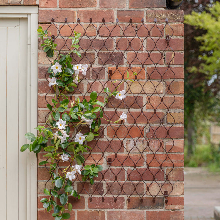 Ivyline Outdoor Honeycomb Trellis