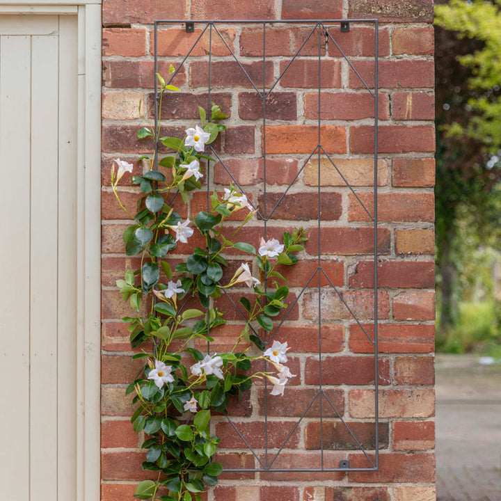 Ivyline Outdoor Herringbone Trellis