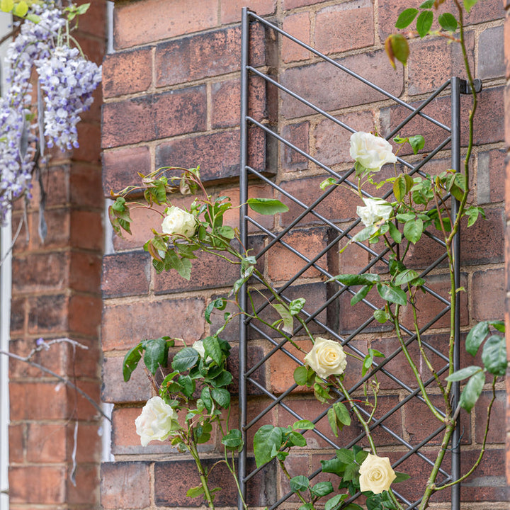 Ivyline Outdoor Linear Trellis