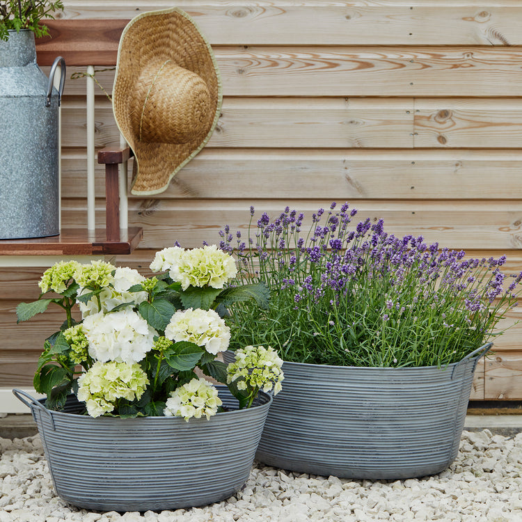 Ivyline Outdoor Matlock Oval Planter