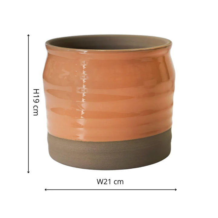 Ivyline Puro Lipped Gloss Ripple Planter dimensions