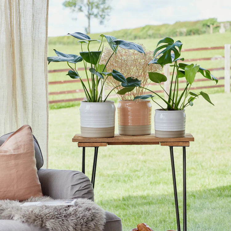 Ivyline Puro Lipped Gloss Ripple Planter on a stand