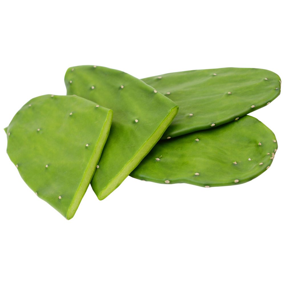 Opuntia ficus-indica (Prickly Pear) Pads