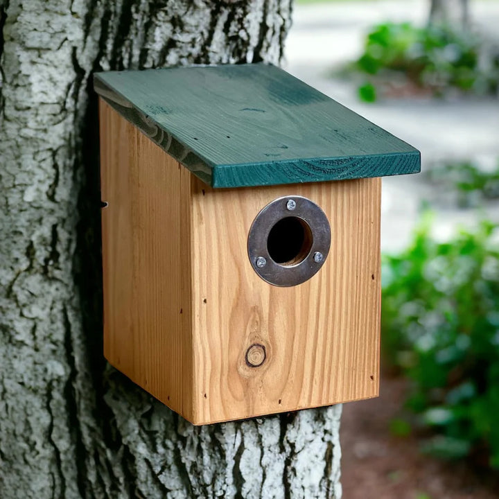 RHS Daisy Nest Box