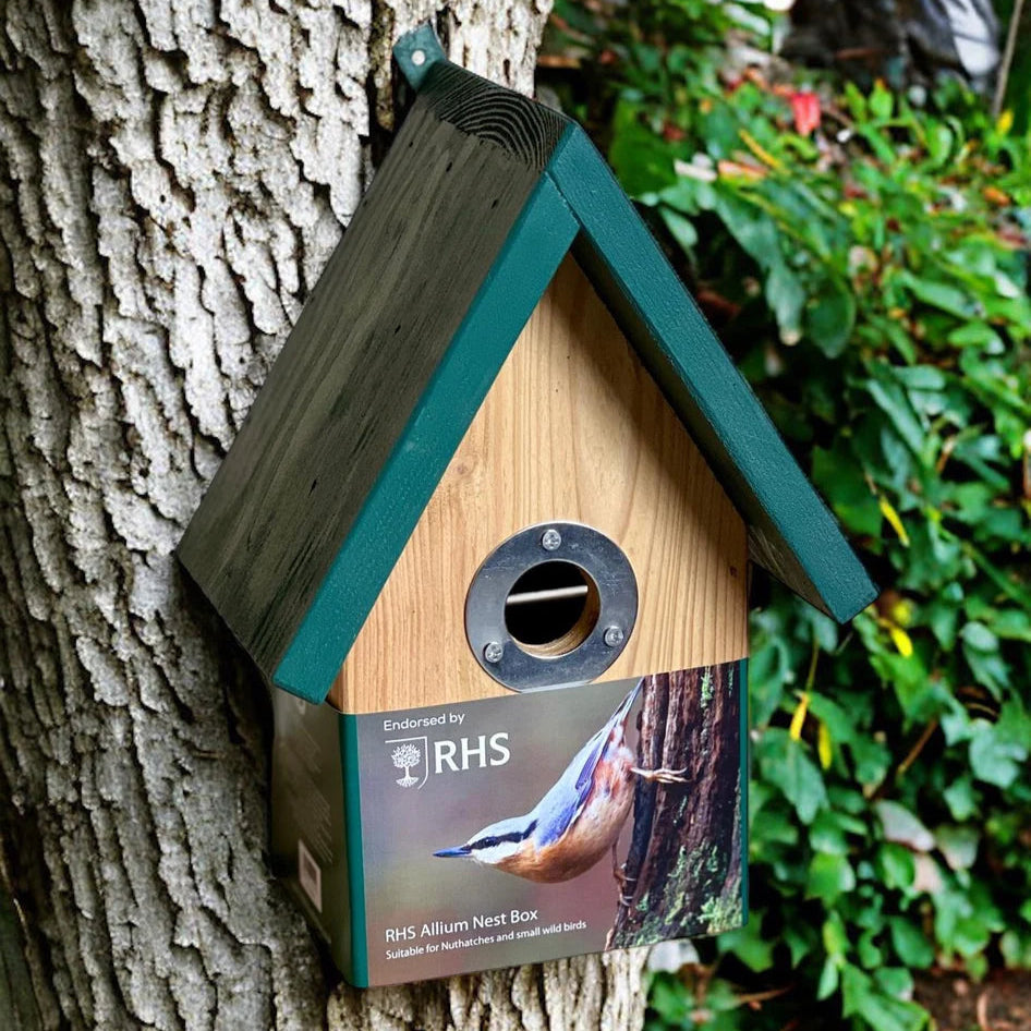 RHS Allium Nest Box