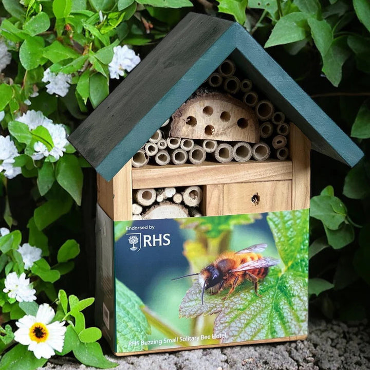 RHS Buzzing Small Solitary Bee Hotel