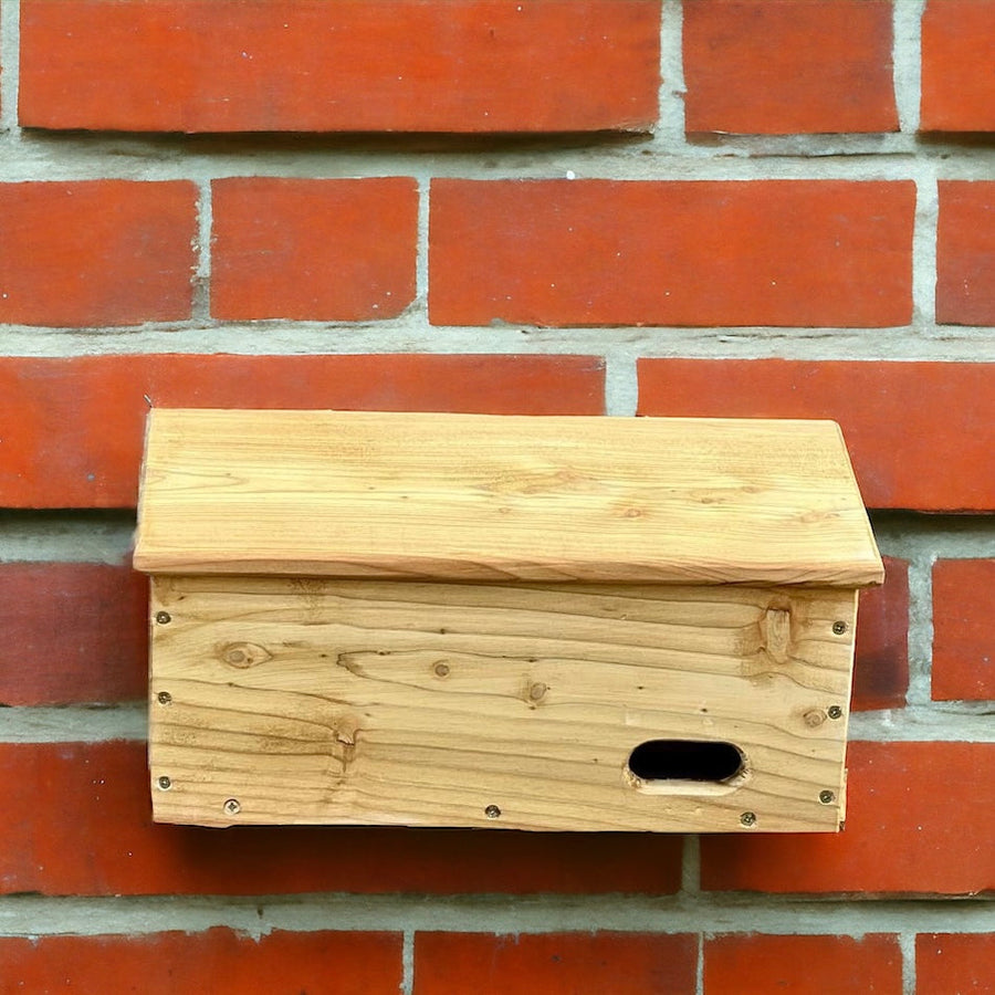 Swallow and Swift Nest Box