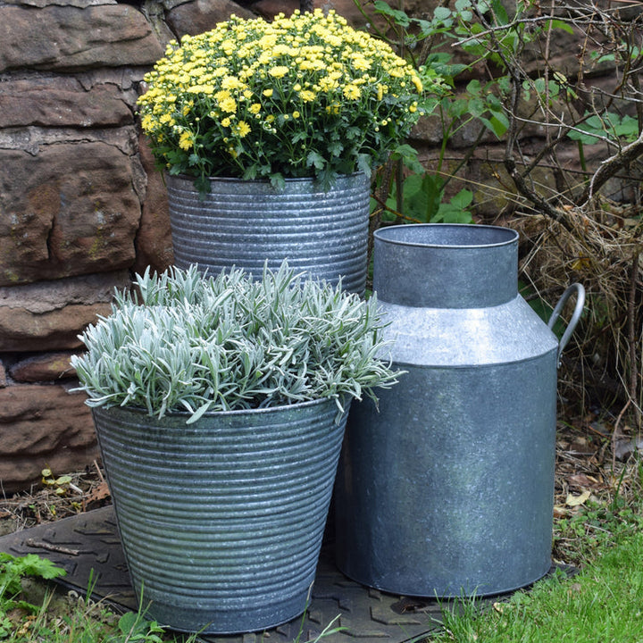 Ivyline Ribbed Galvanised Vase