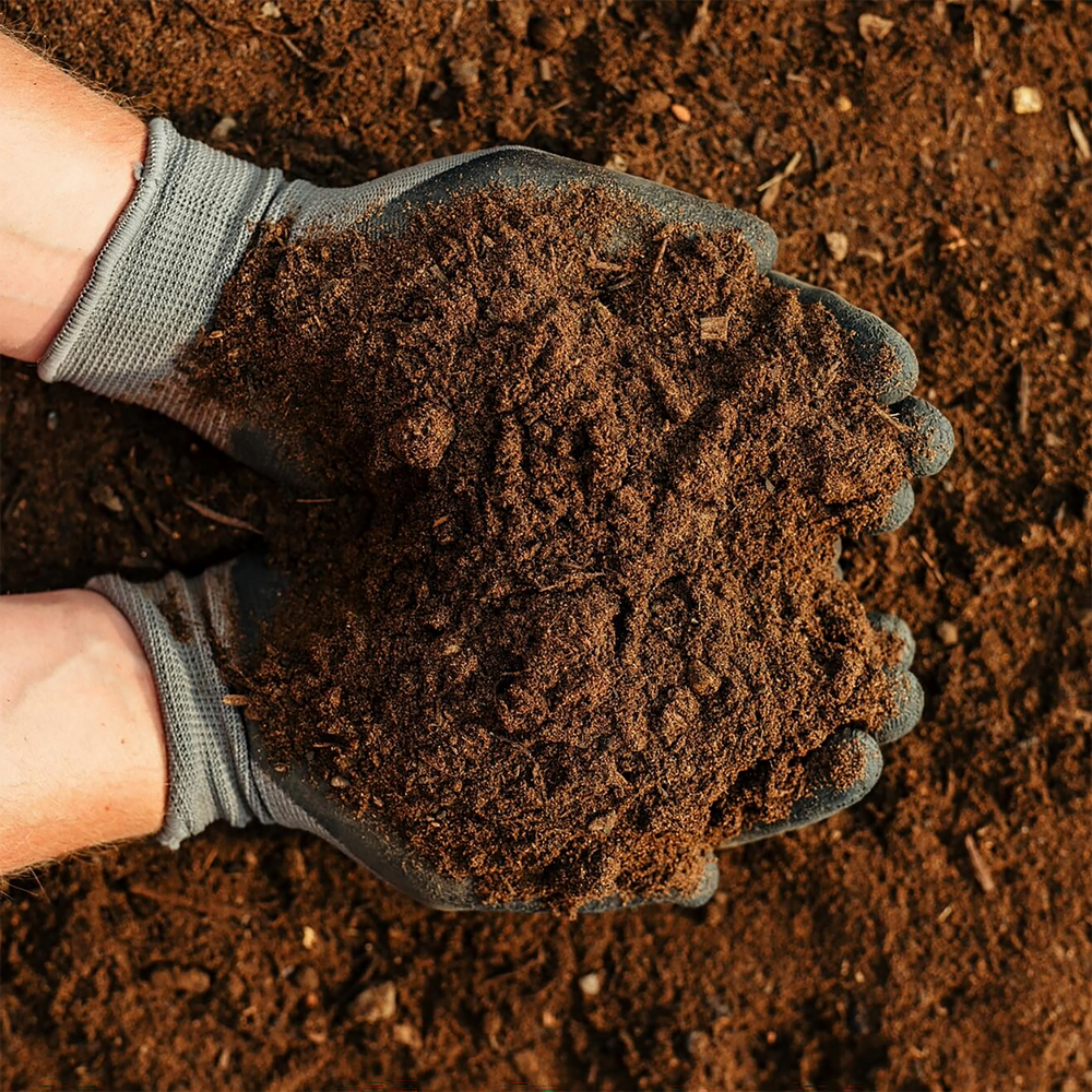 Rolawn Beds & Borders Topsoil