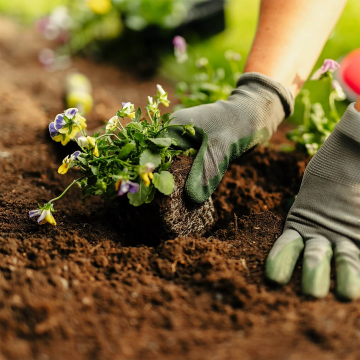 Rolawn Beds & Borders Topsoil