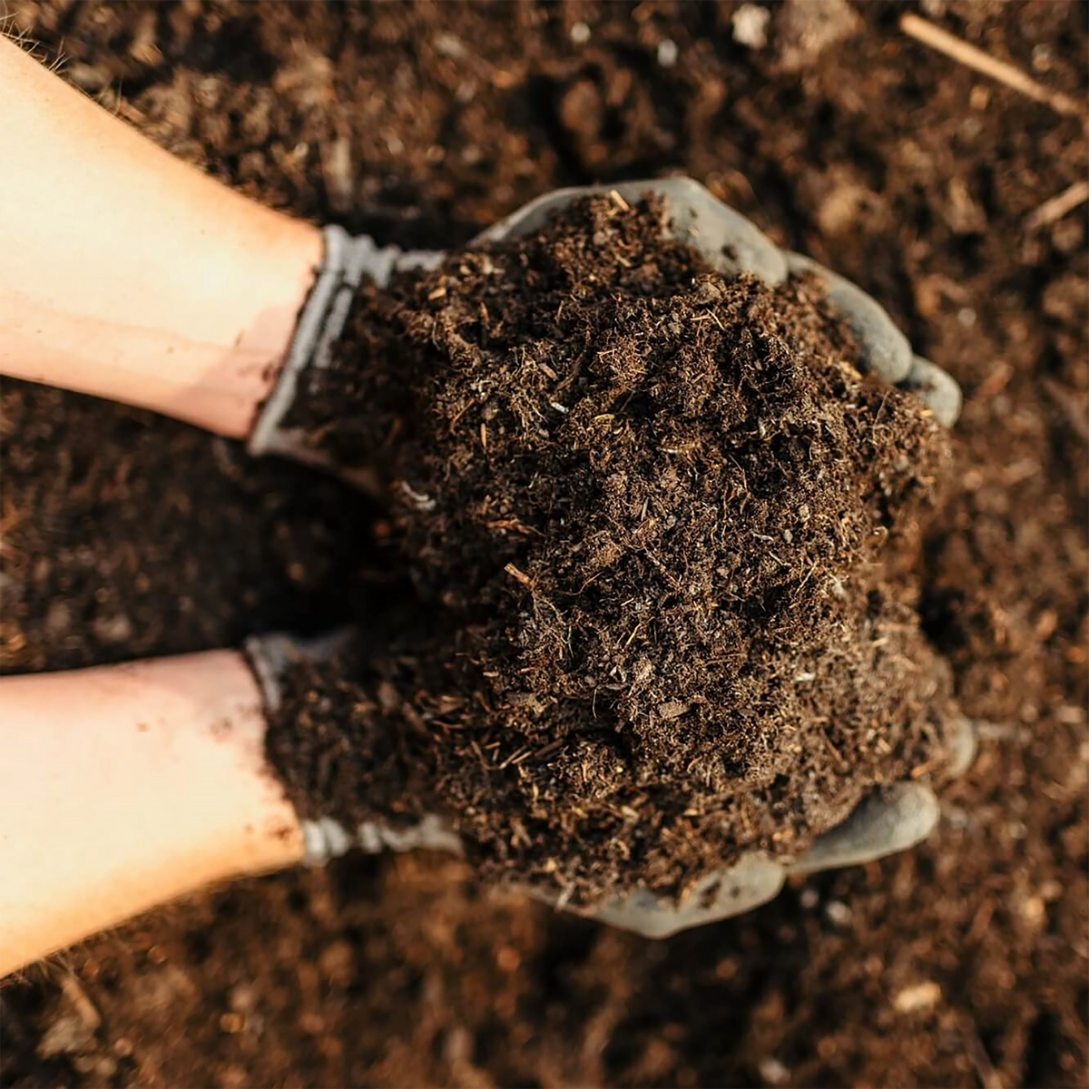 Rolawn Compost Soil Improver