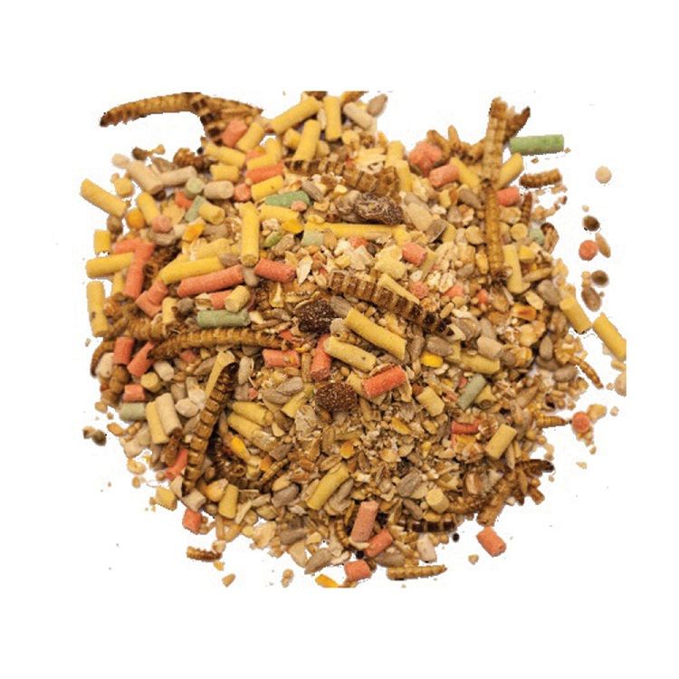 Red Barn Robin Blackbird Feed Seed Mix Feast Mealworm