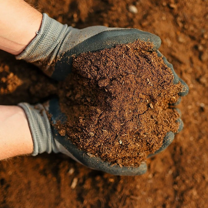 Rolawn Turfing & Lawn Seeding Topsoil