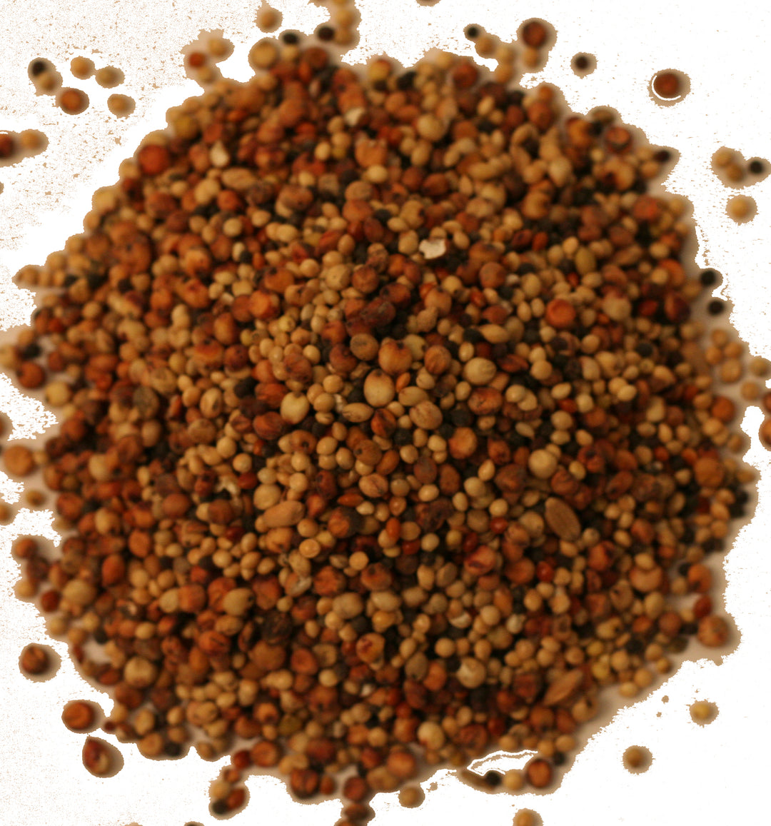 Red Barn Super Fine Seed