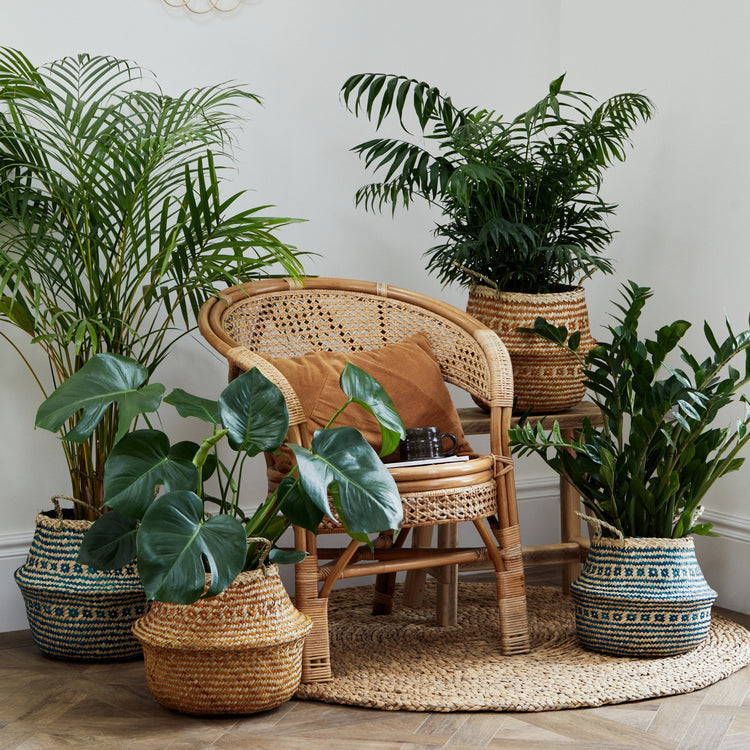 Ivyline Seagrass Tribal Lined Basket