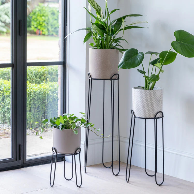 Ivyline Saluzzo Black Plant Stand
