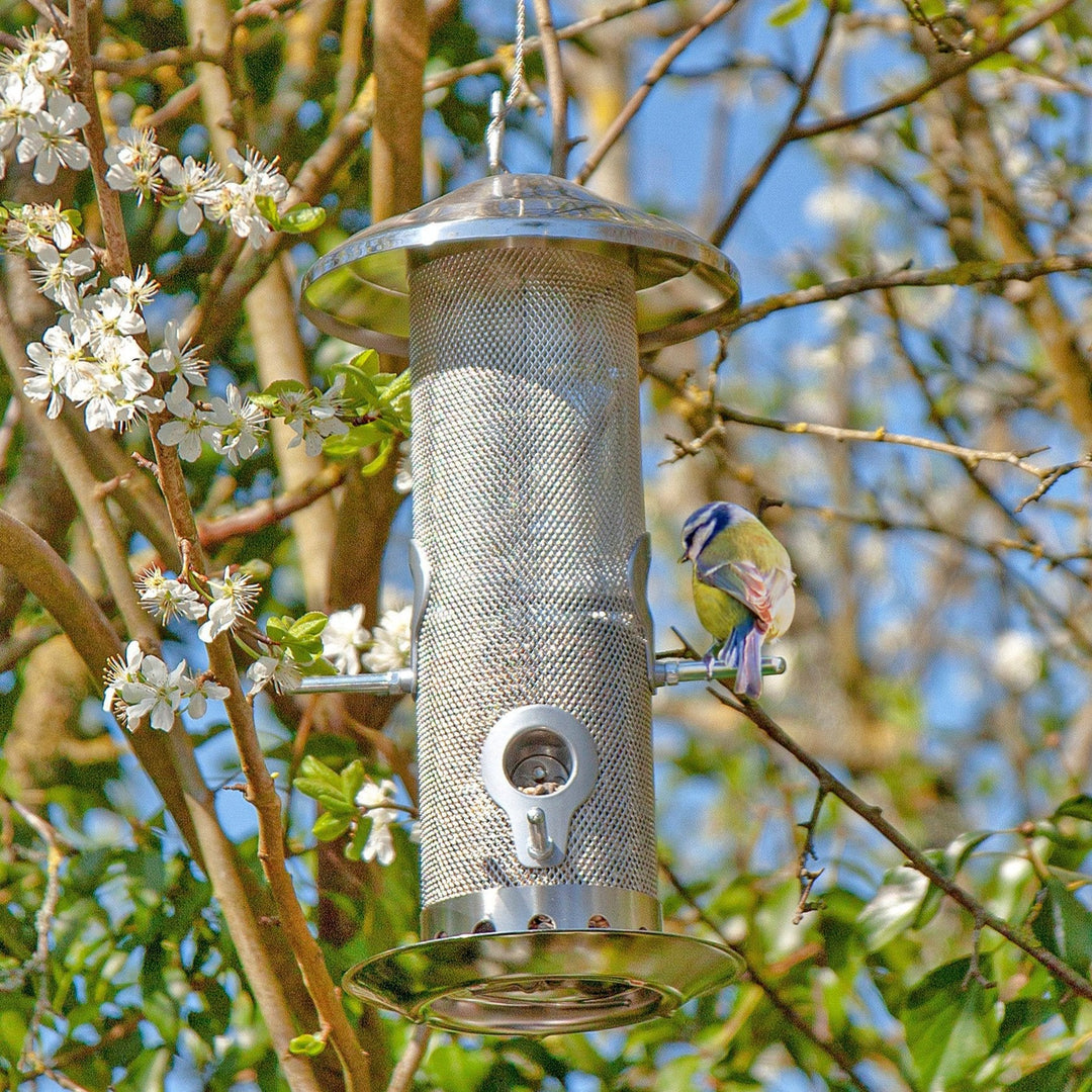 Wildlife World Stainless Steel Bird Feeder