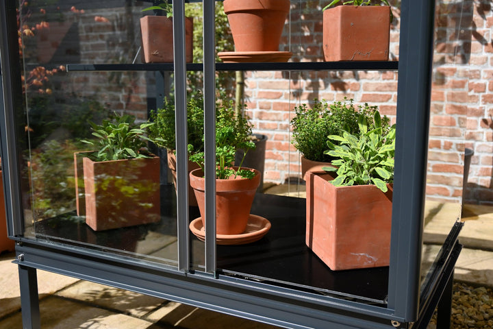 Buy Access Garden Winter Plate for Herb House and Mobile Greenhouse online UK