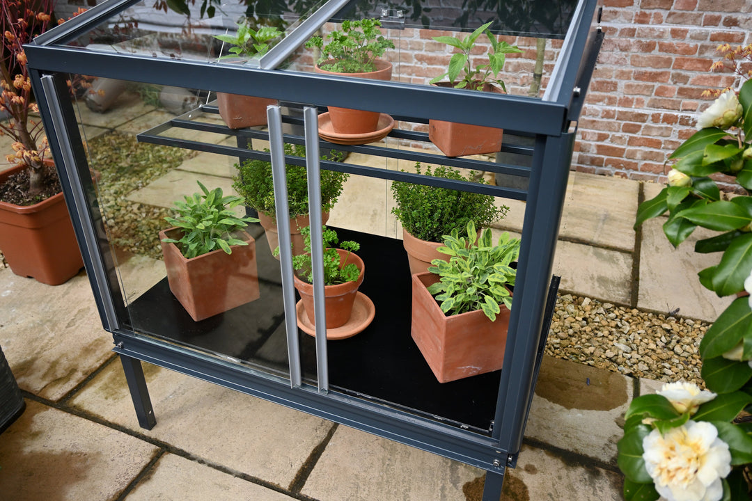 Buy Access Garden Winter Plate for Herb House and Mobile Greenhouse online UK