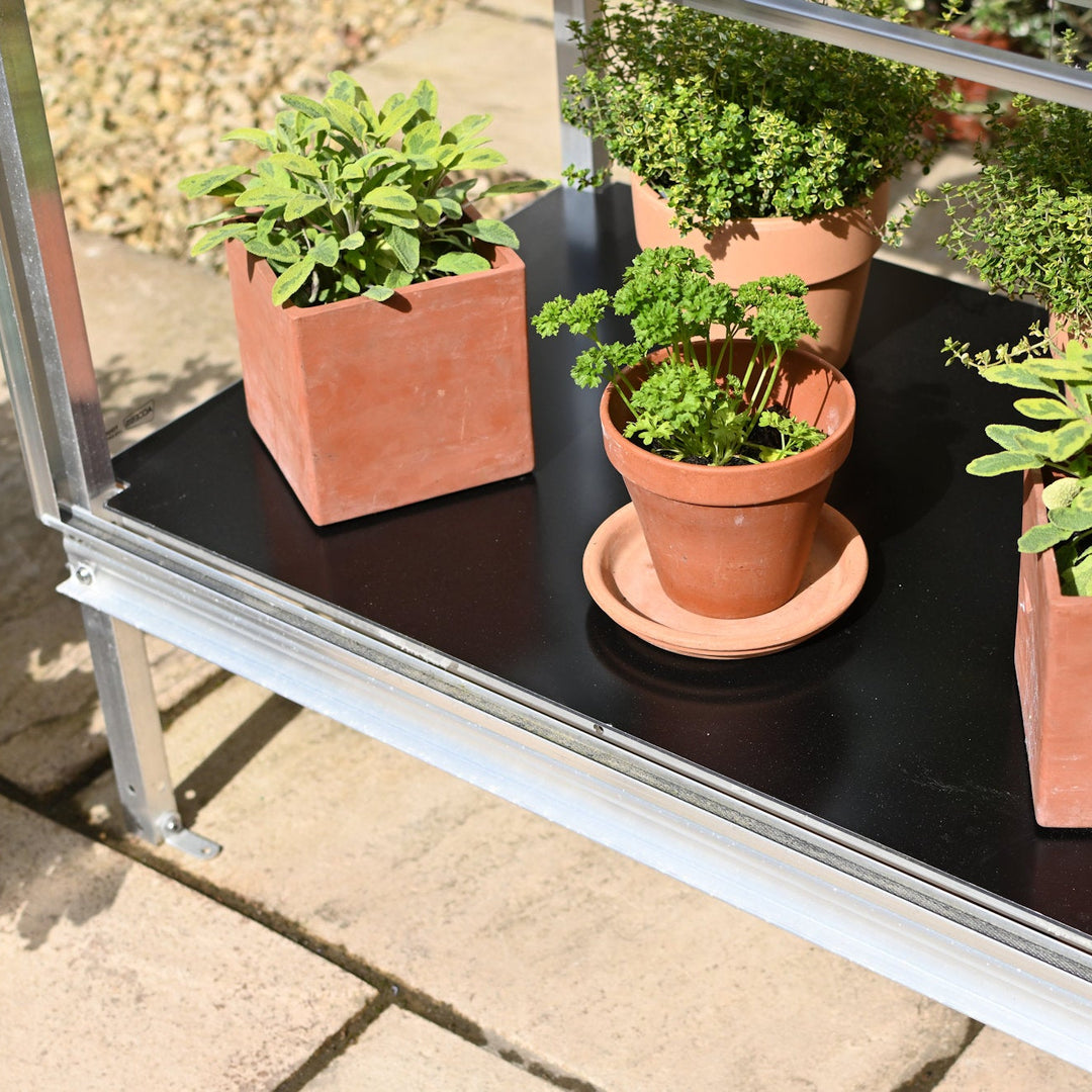 Buy Access Garden Winter Plate for Herb House and Mobile Greenhouse online UK