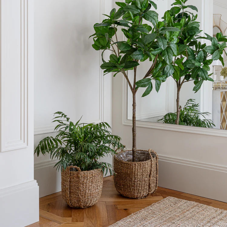 Tenno Natural Basket Set of 3