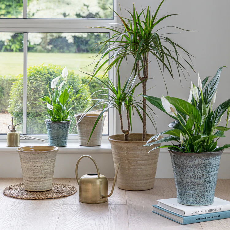 Vallo Reactive Glaze Tapered Planter in situ