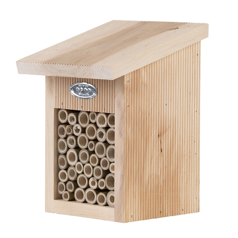 Bee House in Giftbox