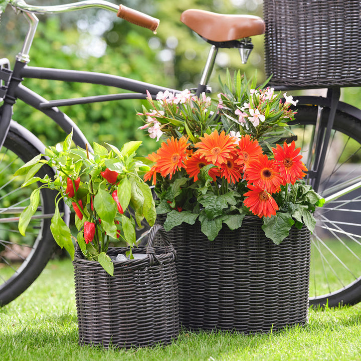 Ivyline Polyrattan Lined Planters 2 Set