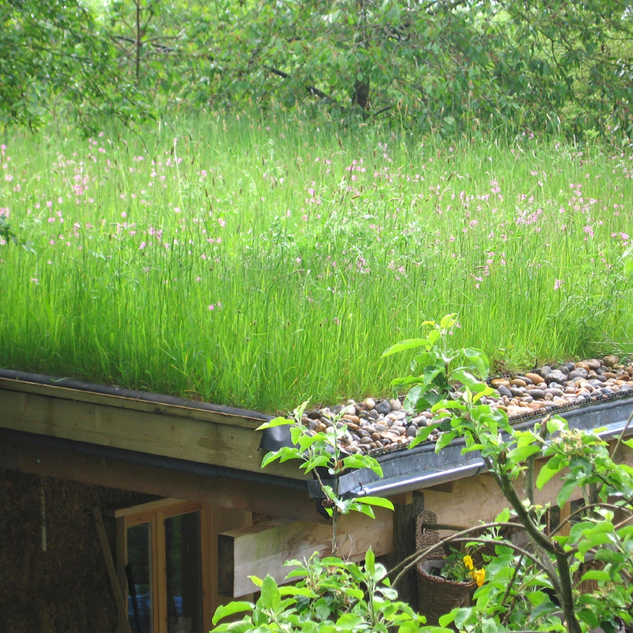 Wildflower Roof Turf