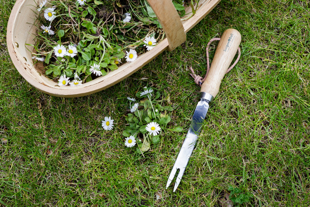 Burgon & Ball RHS Daisy Grubber