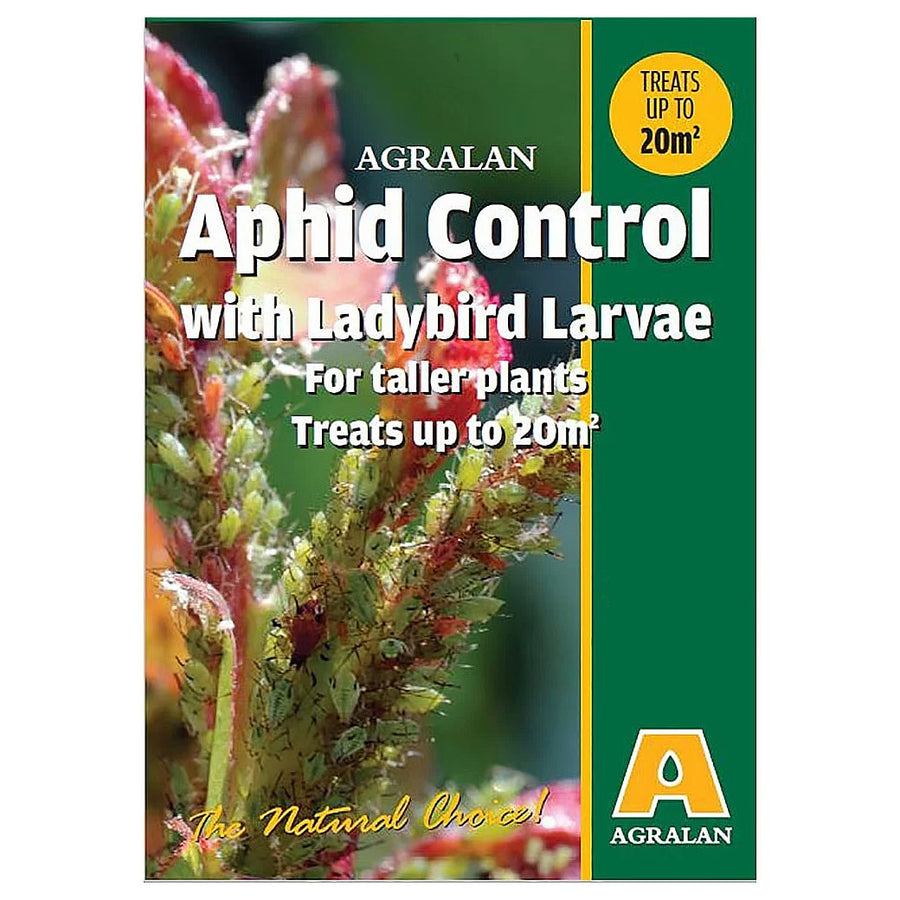 Agralan Aphid Control - Ladybird Larvae 