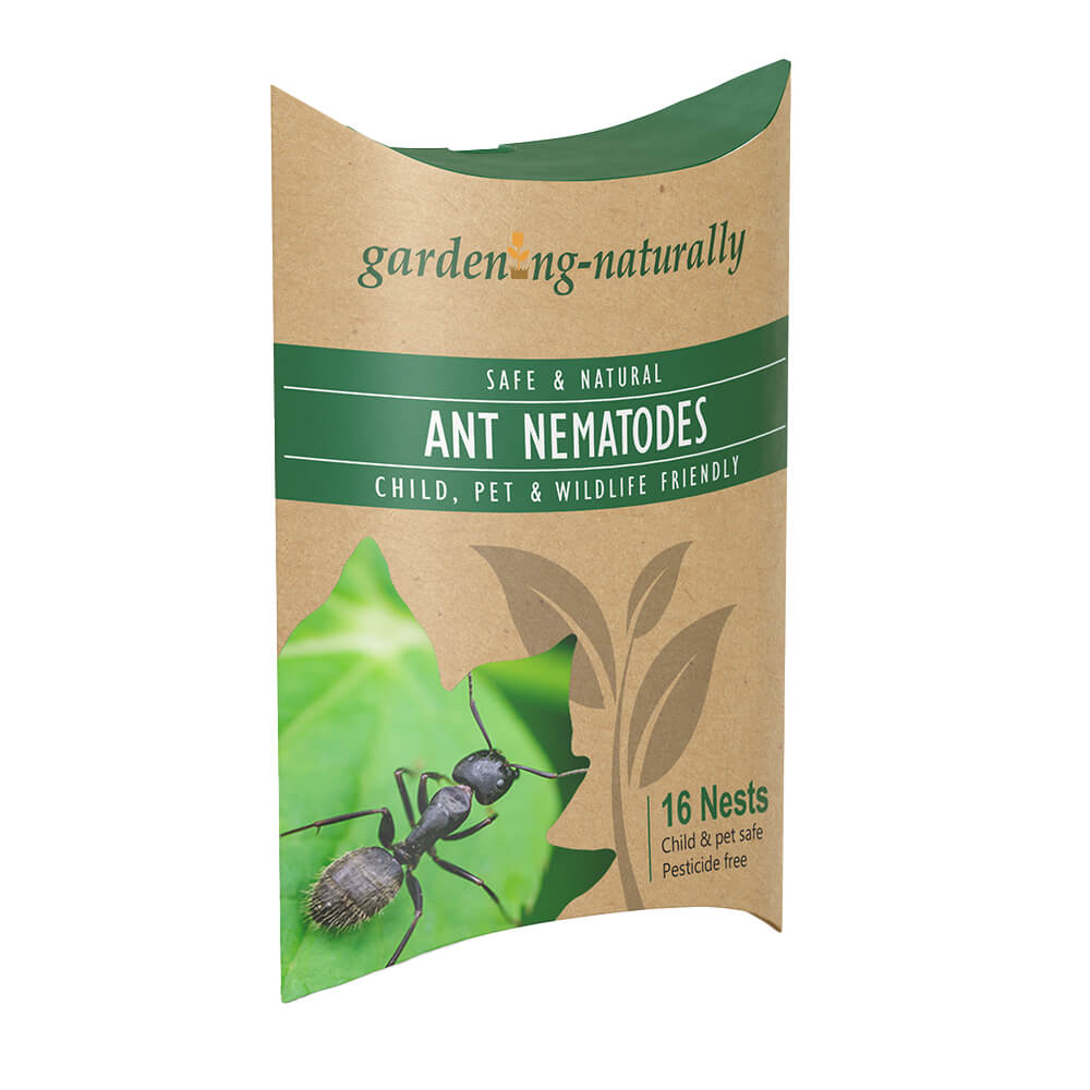 Gardening Naturally Ant Nematodes