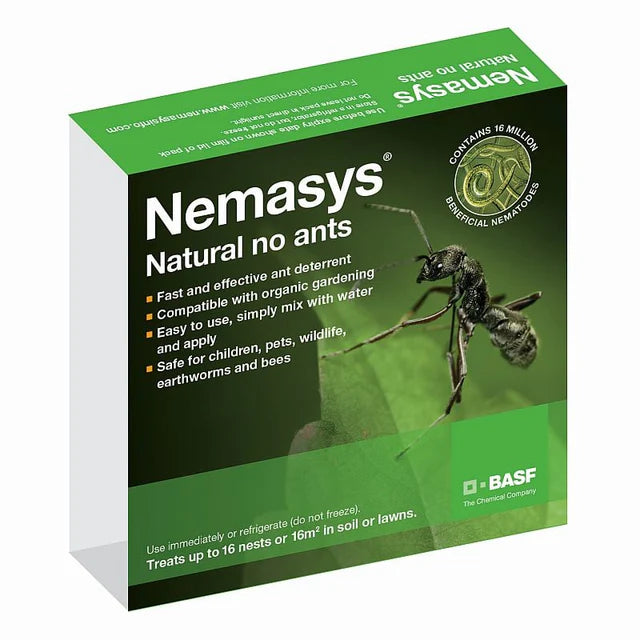 Nemasys Natural No Ants