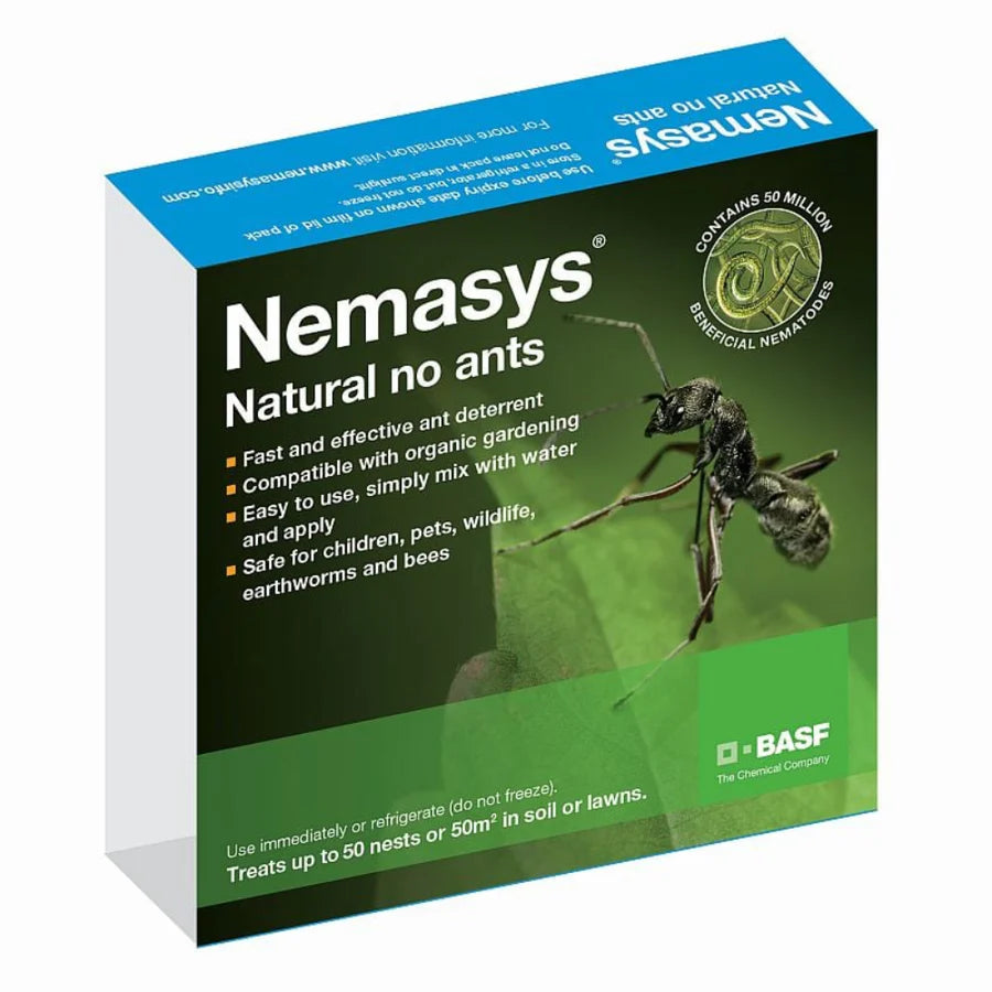 Nemasys Natural No Ants