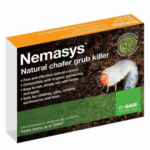 Chafer Nematodes